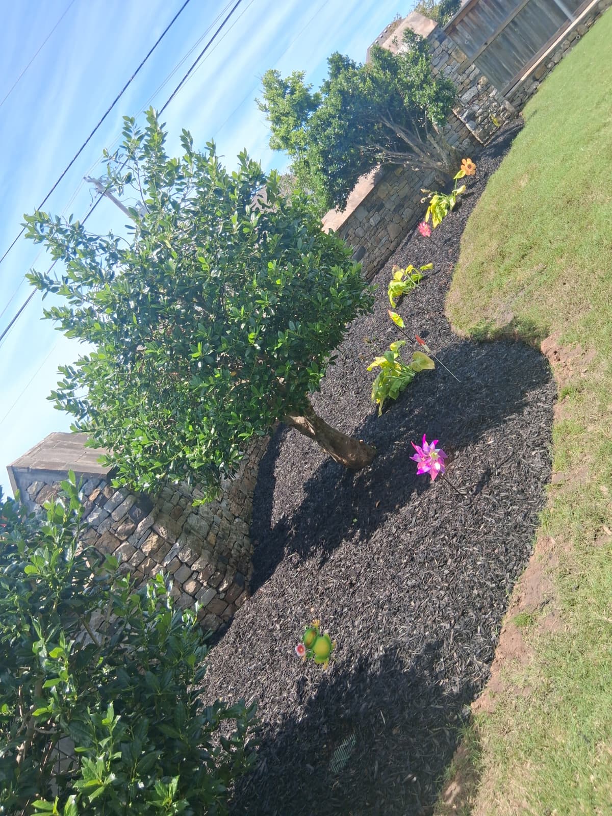 New Garden Installation
